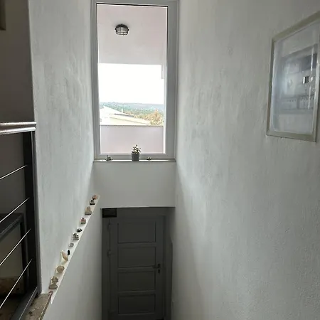 Apartman Tonko Novigrad (Dalmácia)