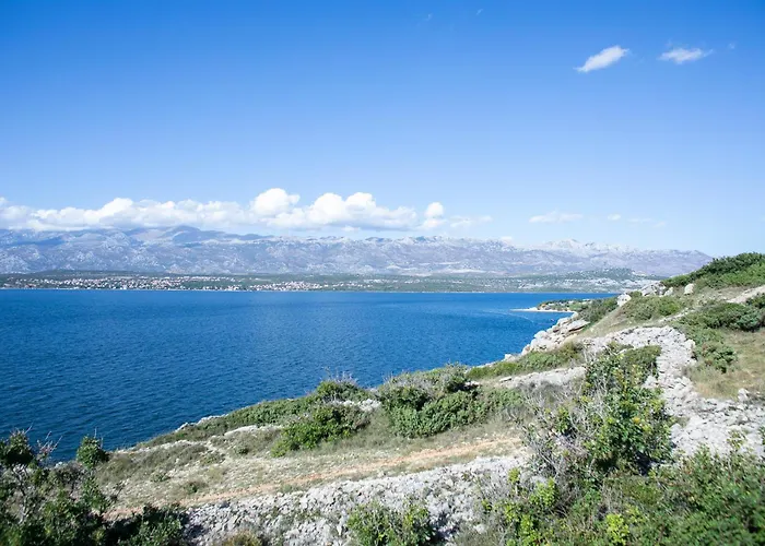 Tonko * Novigrad (Dalmatia)